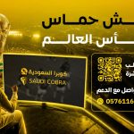 دليلك لاختيار أفضل اشتراك IPTV بين سمارترز وهولك وفالكون